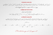 Brigend | Stylish Signature, a Script Font by Lemonthe (Thumbnail 9 of 10)