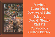 Caribou – Retro Serif, a Serif Font by Lateral Design (Thumbnail 7 of 7)