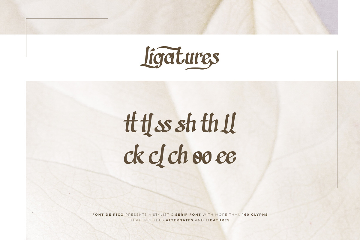 Marsheleena - Stylistic Serif Font, a Script Font by Font De Rico (Photo 6 of 8)