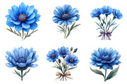 Blue Watercolor Cornflower Clipart, an Illustration by CreationArt (Thumbnail 4 of 5)