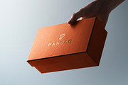 Logo Mockup Luxury Box in Hand, a Product Mockup by Asylab (Thumbnail 4 of 6)