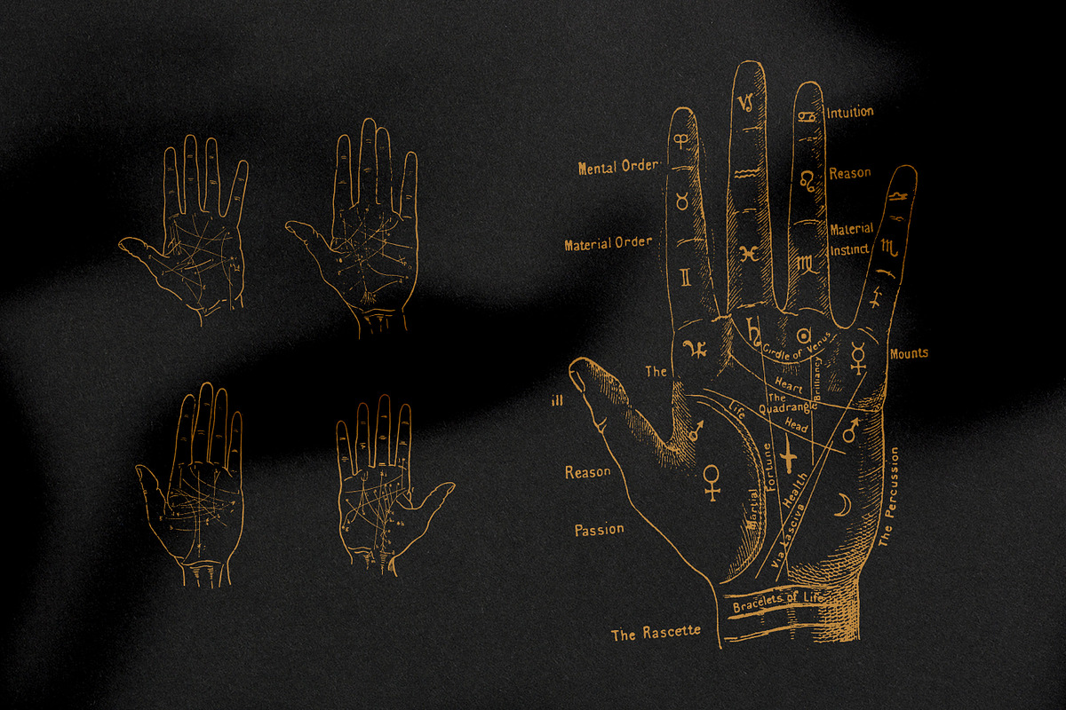 Palmistry, Zodiac & Occult, an Illustration by Nomad Visuals (Photo 3 of 13)