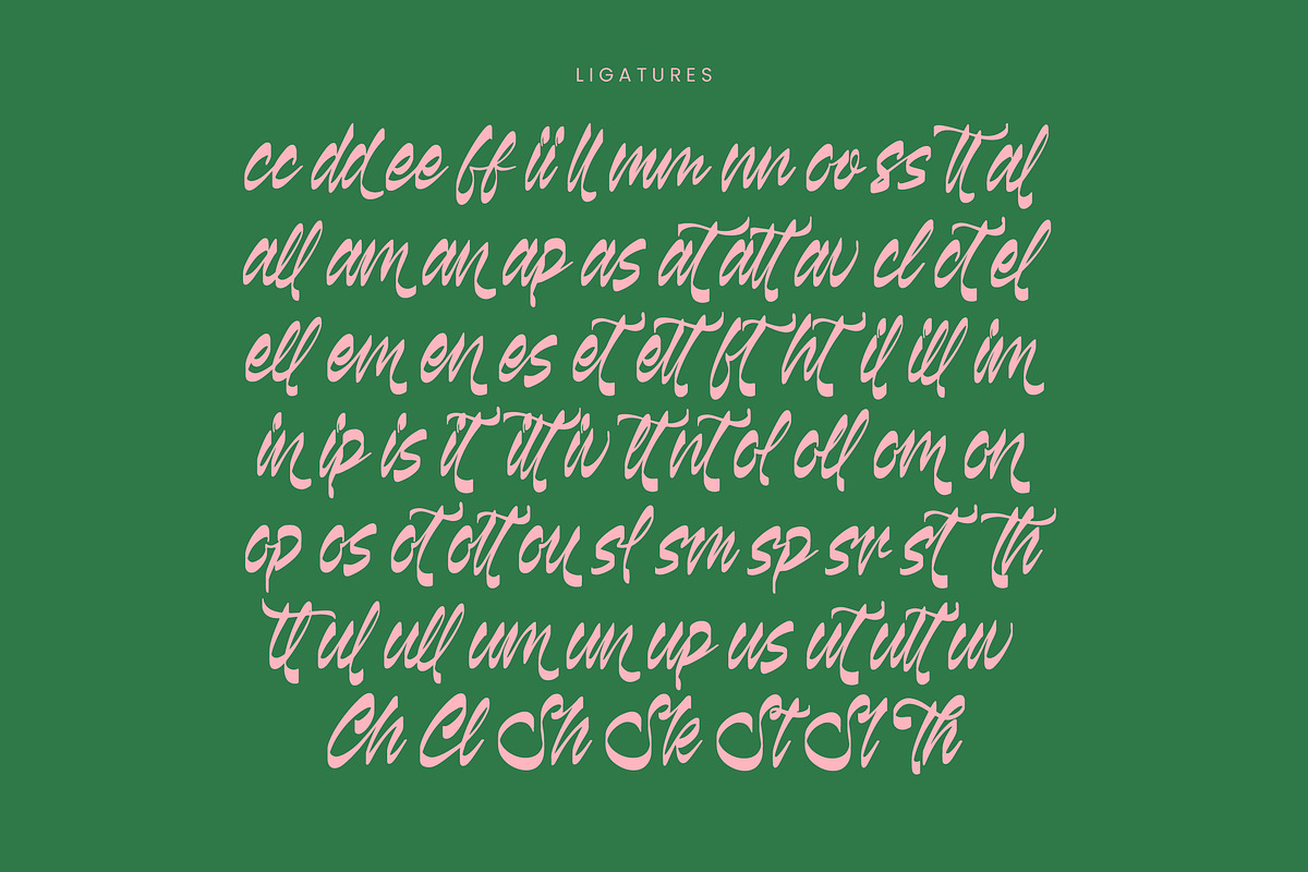 Kabetha Shelyne Bold Calligraphy, a Script Font by Letterena Studios Script (Photo 17 of 20)