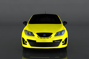 2009 SEAT Ibiza Cupra