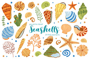Set seashells gouache illustration.