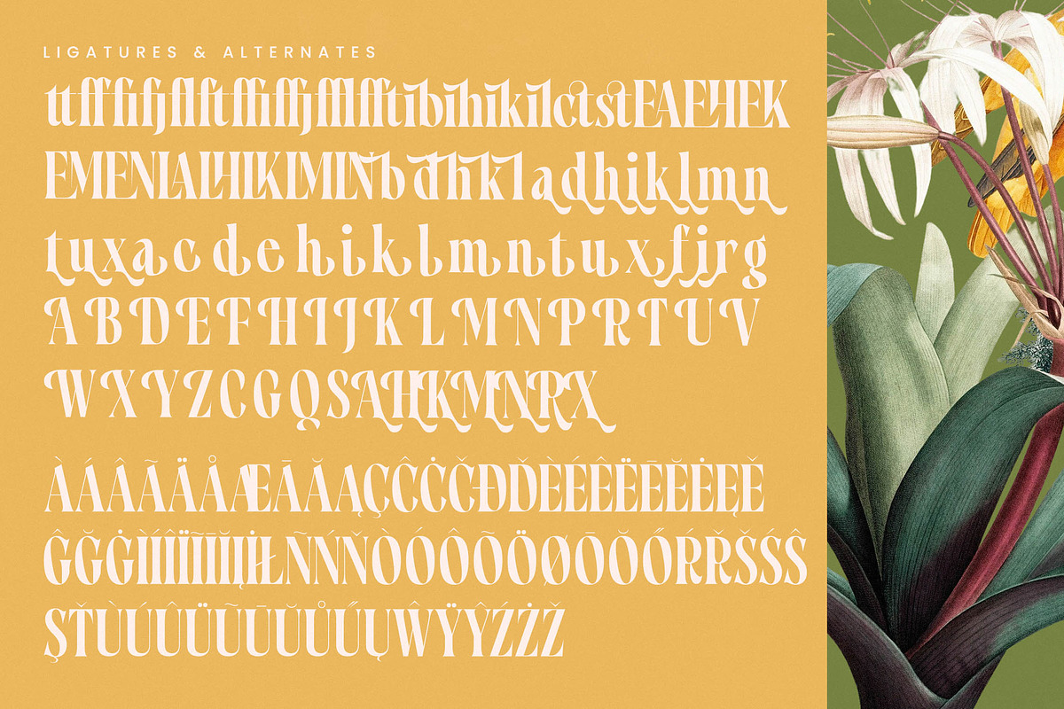 Qastife Elegant Display Serif, a Serif Font by timelesstype.co (Photo 19 of 20)