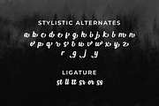 Haliond Modern Script, a Script Font by Multype Studio (Thumbnail 10 of 11)