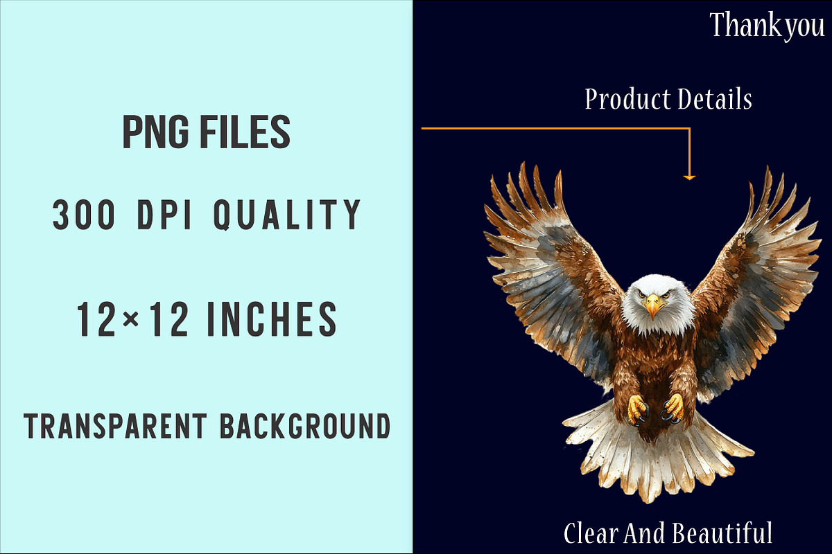 Watercolor Eagles Clipart, an Illustration by SinaCreation (Photo 5 of 5)