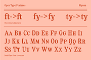 Fiyona Retro Variable Font, a Serif Font by That That Creative (Thumbnail 22 of 24)