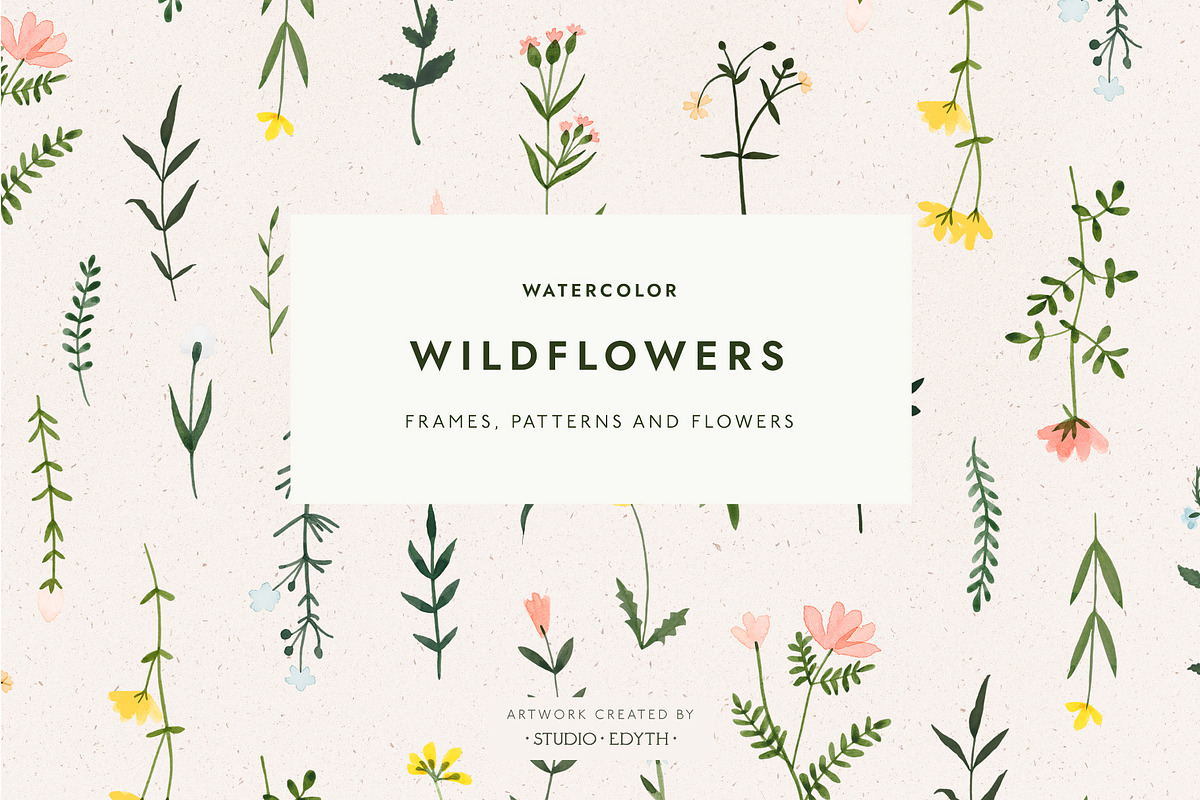 Watercolor Wildflower Bundle, an Illustration by Studio Edyth (Photo 1 of 5)