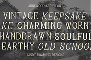 Junewood by Cindy Roaming Designs, a Serif Font by cindyroamingdesigns (Thumbnail 5 of 8)