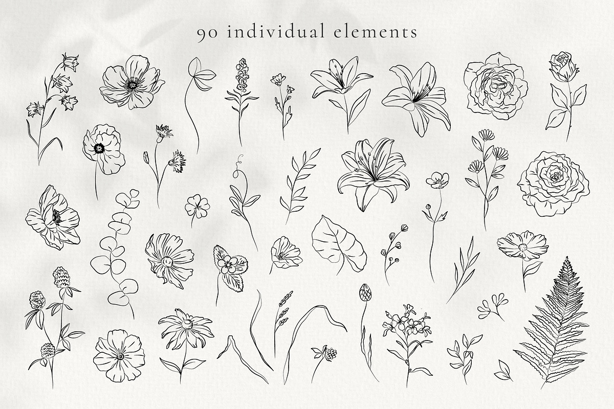 Hand-drawn Line Art Summer Flowers, a Decorative Illustration by La Petite Line Art (Photo 3 of 12)