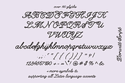 Dorwitt Script .ttf Font, a Script Font by dorisfullgrabe (Thumbnail 6 of 6)