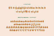 City Mango - Retro Serif Font, a Serif Font by HansCo Studio (Thumbnail 14 of 17)