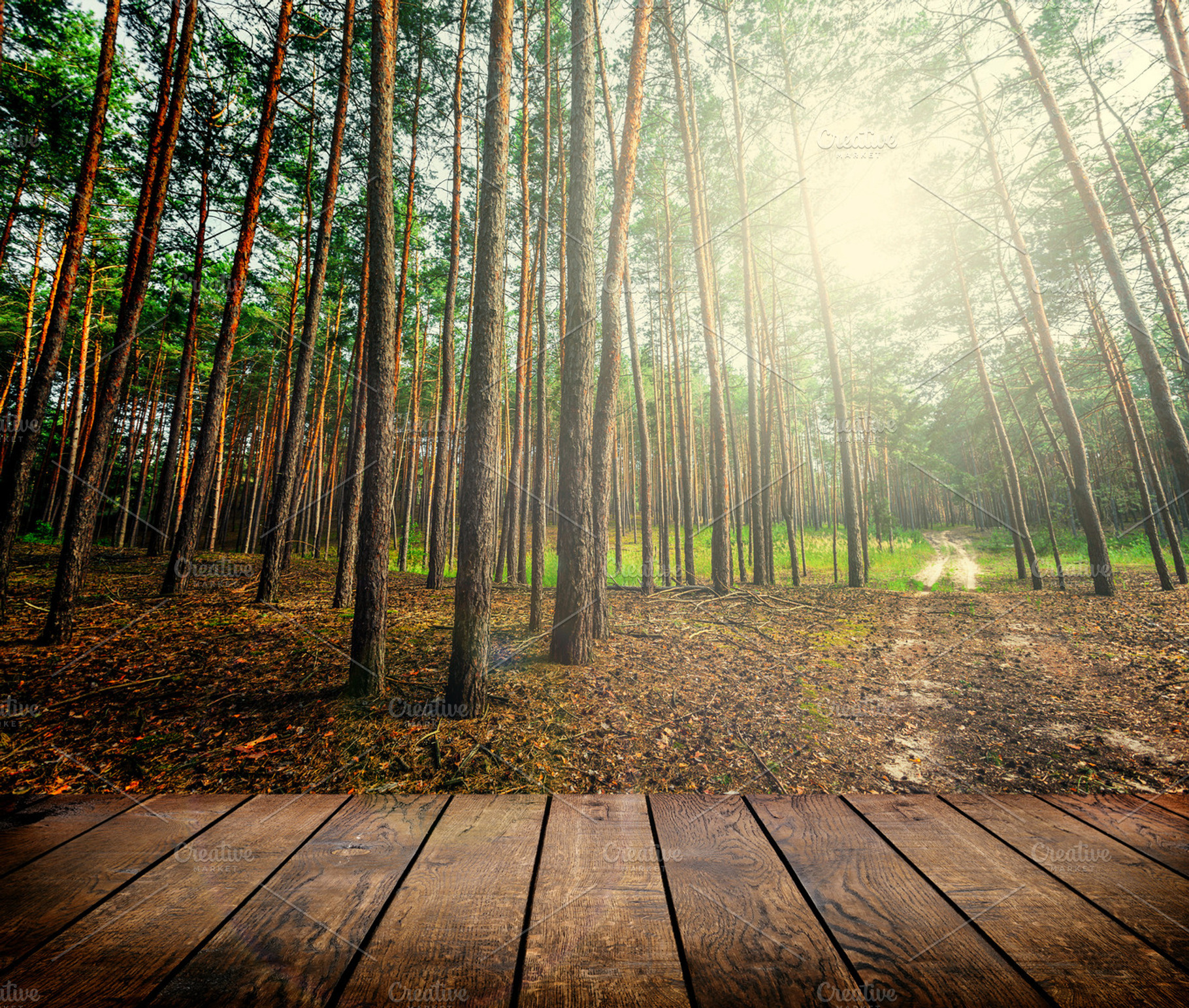 Forest stock photo containing architecture and art, a Nature Photo by vovan