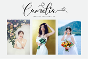Freelove // Lovely Script Font, a Script Font by Nissa Studio (Thumbnail 4 of 12)