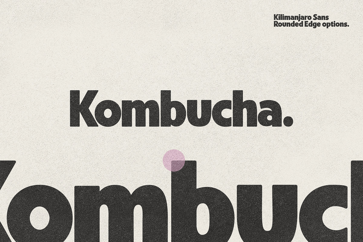 Kilimanjaro Sans (36 fonts), a Font by Nicky Laatz (Photo 64 of 75)