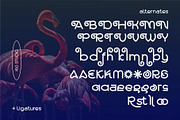 Mallesi Modern Sans, a Sans Serif Font by 160 Studio (Thumbnail 6 of 13)