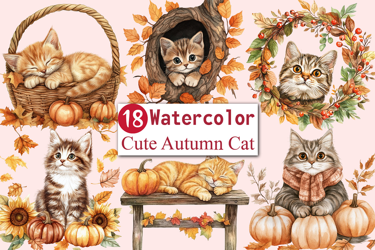 Cute Autumn Cat Sublimation Clipart, an Illustration by CitraGraphics (Photo 1 of 5)