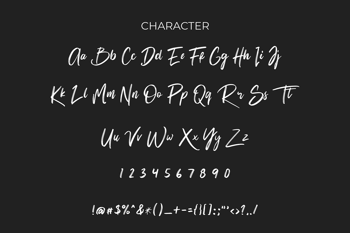 Christine Brush Typeface preview 2