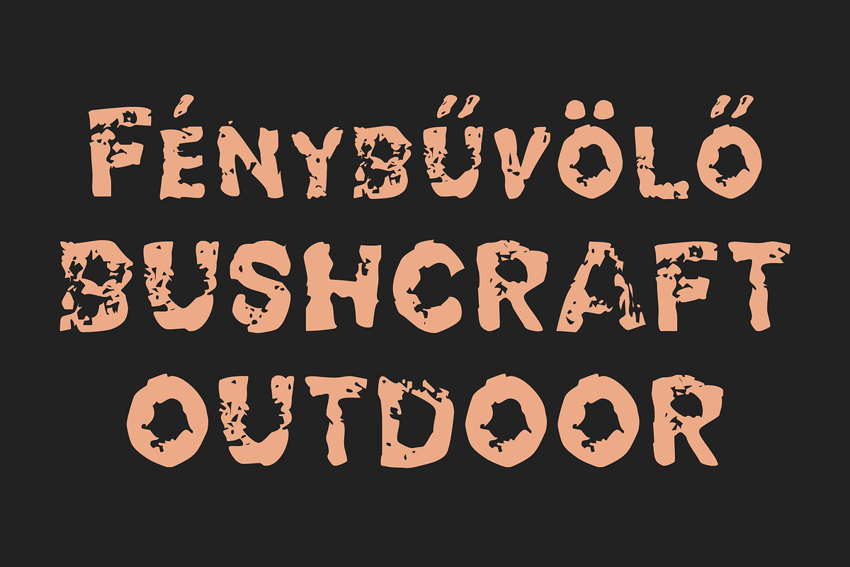 Lakrits, a Handwritten Font by Fontanatype (Photo 3 of 5)