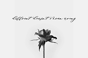 Minimalist – Modern Calligraphy, a Script Font by RedyStudio (Thumbnail 3 of 11)