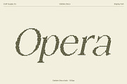 Dalbine Disco, a Serif Font by Craft Supply Co. (Thumbnail 2 of 8)