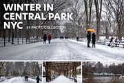 Winter In Central Park NYC Photos, an Arts & Entertainment Photo by Full Circle Design Studio (Thumbnail 1 of 5)