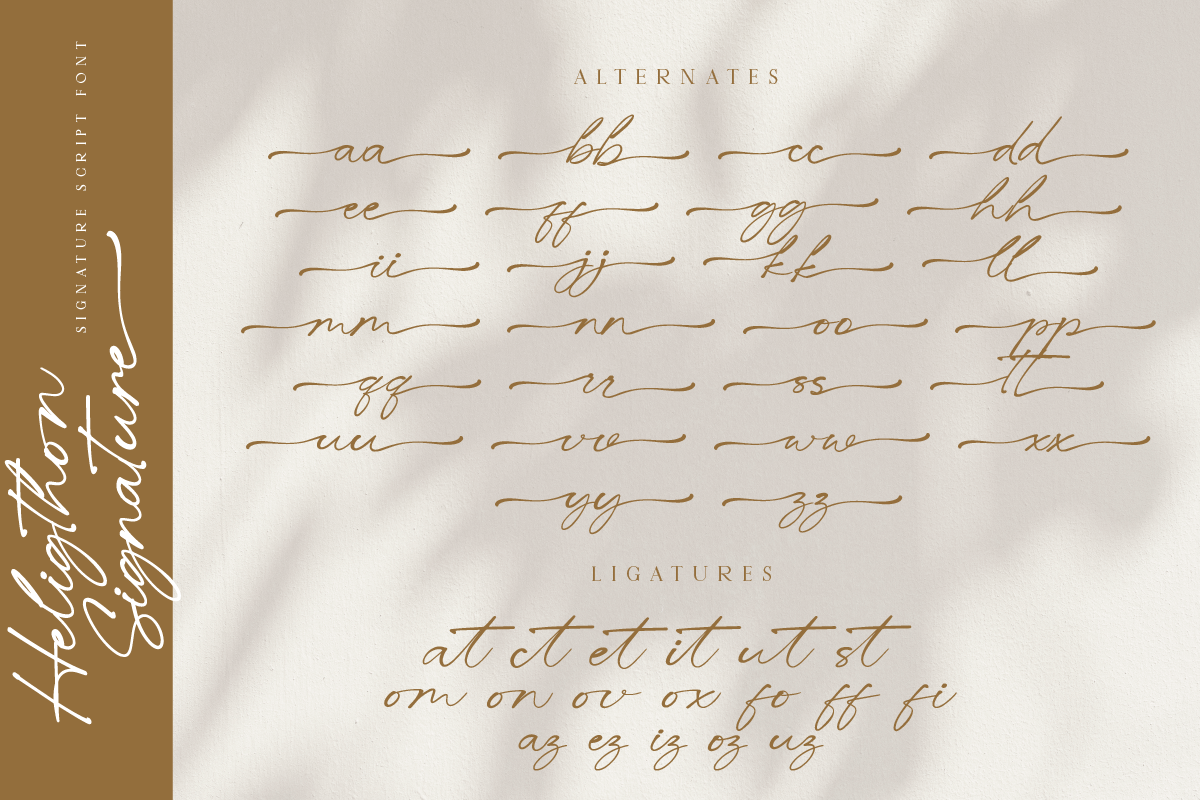 Heligthon Luxury Signature Script, a Script Font by Ronny Studio (Photo 9 of 9)