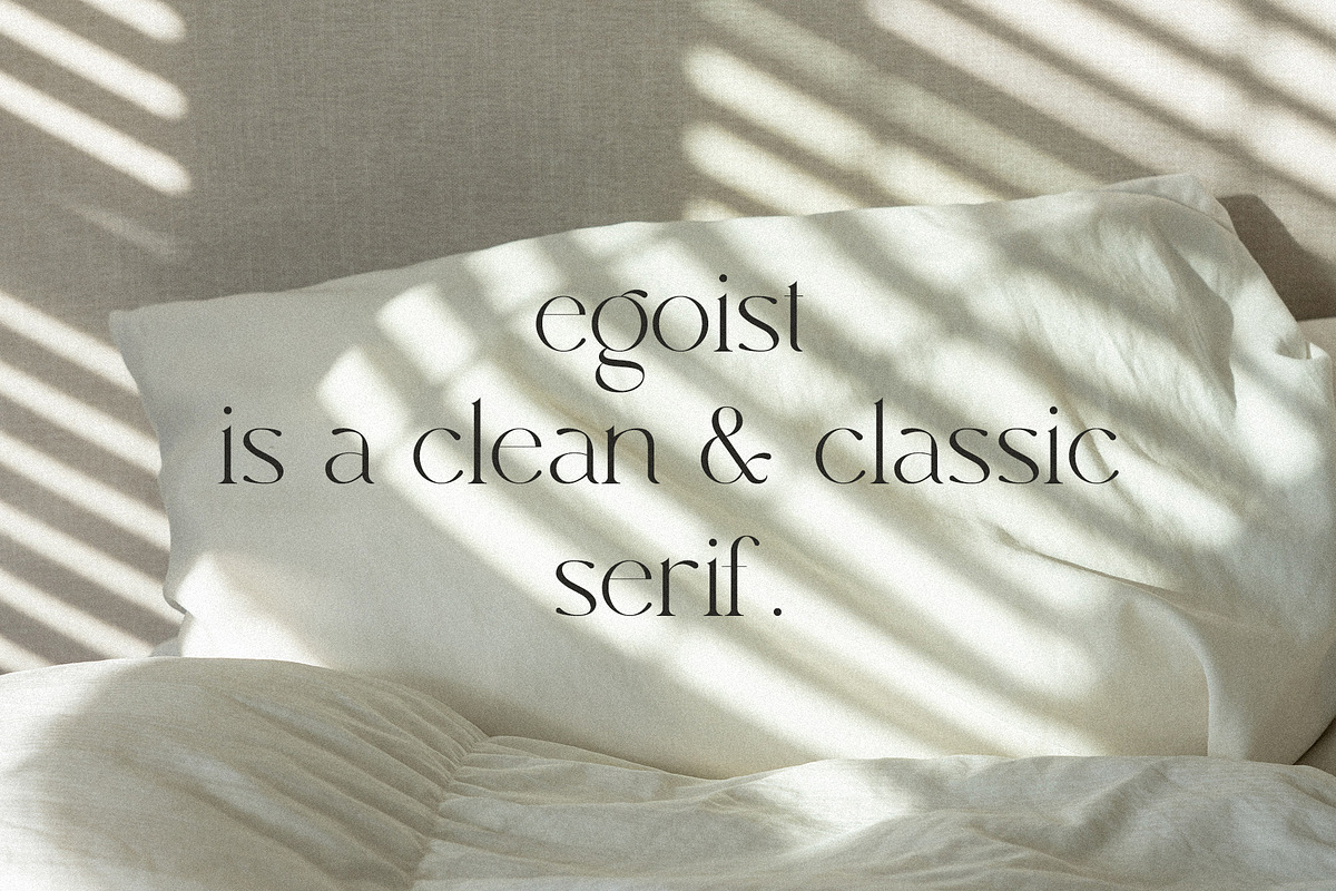 Egoist - Clean Serif, a Serif Font by Mikhail Kitsune (Photo 2 of 9)