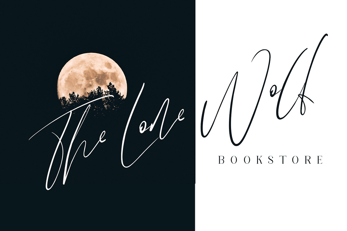 Oakwood Beach Script Font preview 7