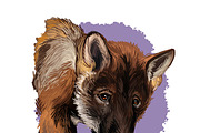 Puppies Dog Breeds Big Bundle 135Pcs, an Animal Illustration by Dneprstock (Thumbnail 54 of 68)