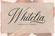 Darshye Script, a Script Font by Solidtype (Thumbnail 6 of 7)