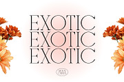 Mounchera - Art Deco Serif, a Serif Font by Variatype (Thumbnail 4 of 14)