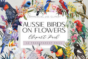 Australian Native Birds Clipart PNG