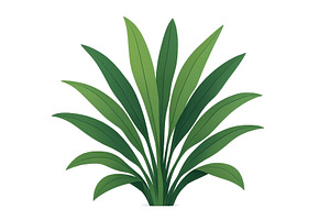 Lush green plant with long leaves, a Nature Photo by ZinetroN