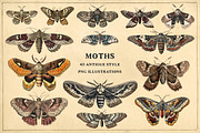 Moths - 40 antique style PNG images, an Illustration by YesFoxy (Thumbnail 1 of 3)