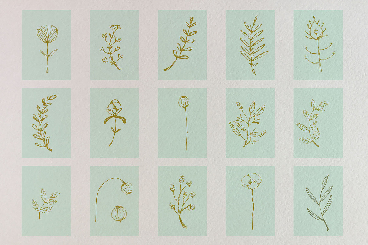 Just hand-drawn leaves, a Decorative Illustration by tinybunnyshop (Photo 3 of 11)