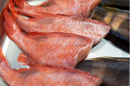 Fresh raw greenling fish and sea, a Food & Drink Photo by Jan Jack Russo Media