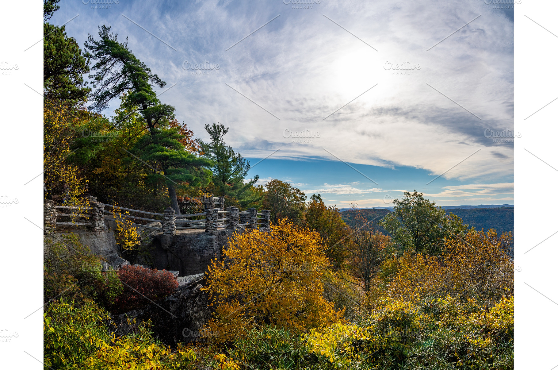 Coopers Rock state park overlook, a Nature Photo by Backyard Stock