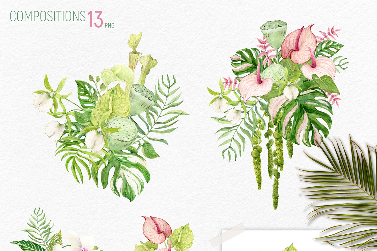 Tropical Flowers. Exotic flora set, an Illustration by Tata Pilip (Photo 2 of 21)