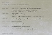 Midnight Symphony // Script font, a Handwritten Font by PeachCreme (Thumbnail 15 of 15)