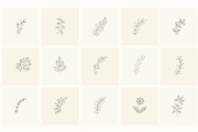 Hand Drawn Floral Elements. Frames, a Seasonal Illustration by Designwork (Thumbnail 4 of 22)