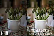 PHOTOSHOP actions set Greenhouse, an Action Add-On by Les Hirondelles Ph (Thumbnail 8 of 10)