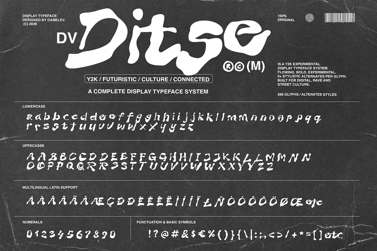 DV Ditse, a Handwritten Font by Damelev (Photo 5 of 10)