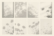 Dappled - Botanical Shadow Overlays, a Texture Graphic by alonahaidash (Thumbnail 12 of 16)
