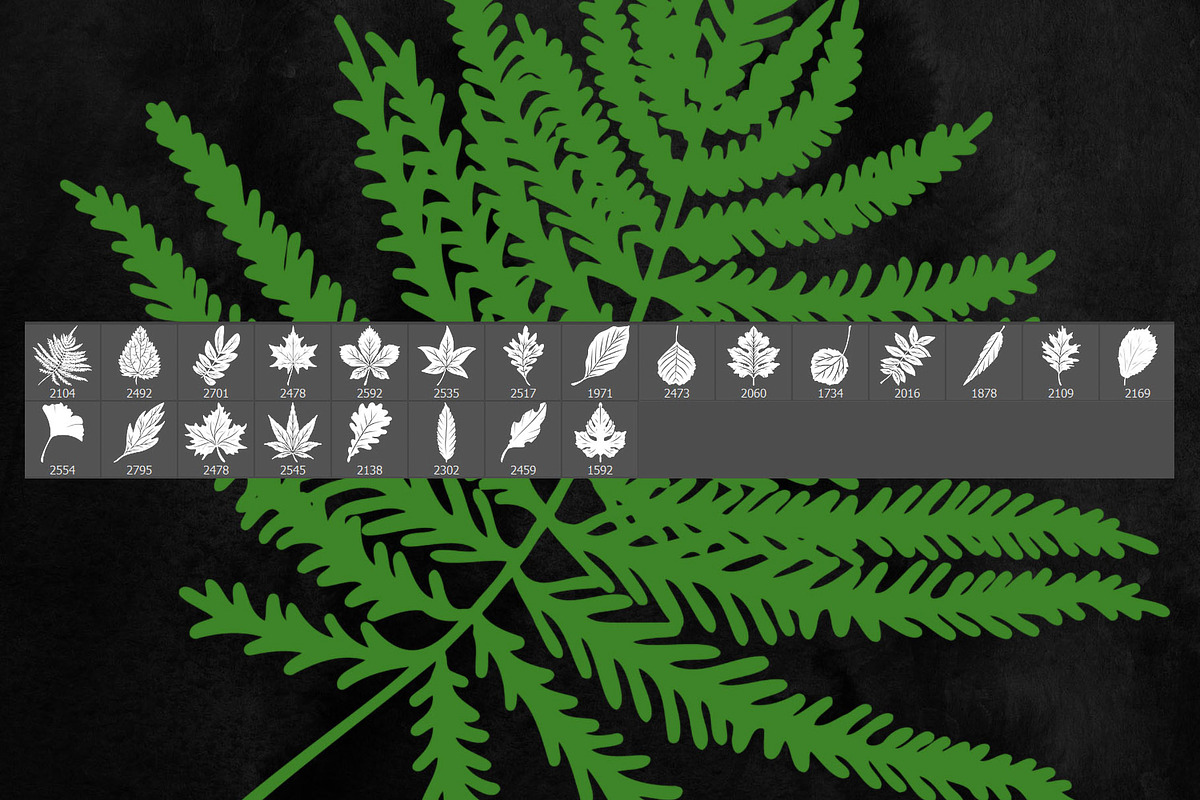 Leaves Photoshop Stamp Brushes, a Brush Add-On by ArtistMef (Photo 3 of 4)