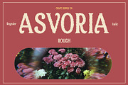 Asvoria Rough, a Serif Font by Craft Supply Co. (Thumbnail 1 of 8)