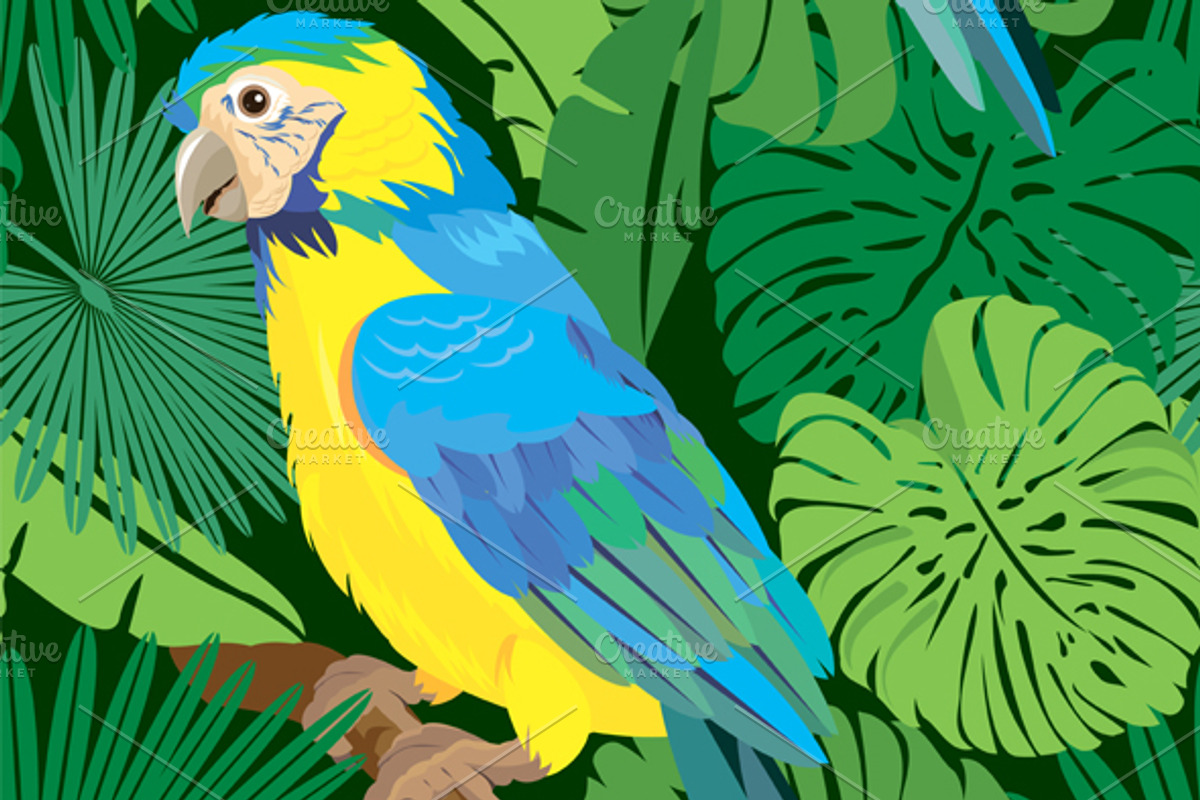 Blue Yellow and Red Macaw parrots preview 2