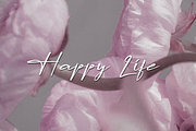 Lapierro Script, a Script Font by GlottaTypeface (Thumbnail 8 of 8)